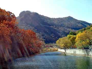 澳门二四六天天彩图库，大叶女贞产地